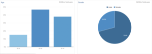 Demographic analysis, Google Analytics, screenshot. Age, Gender